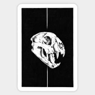 SKULL SERIES - THE MOUNTAIN LION Sticker